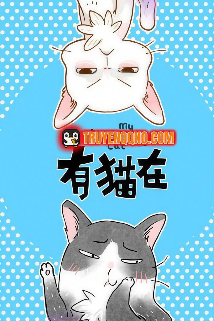 Ở Đây Có Mèo