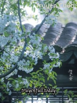 Phượng Thê Ngô - Đại Khẩu Đào Tô